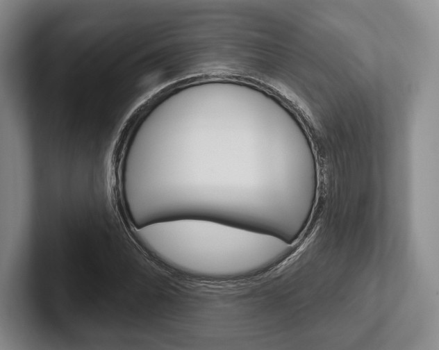 X0000102541070200808081045
