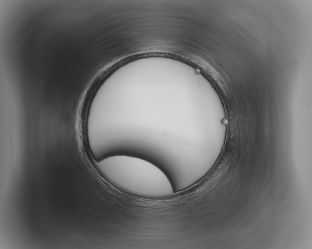 X0000102541072200808081045