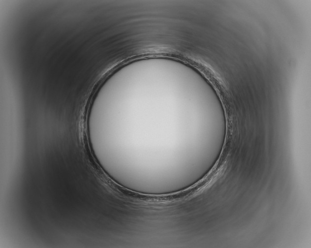 X0000102541073200808081045