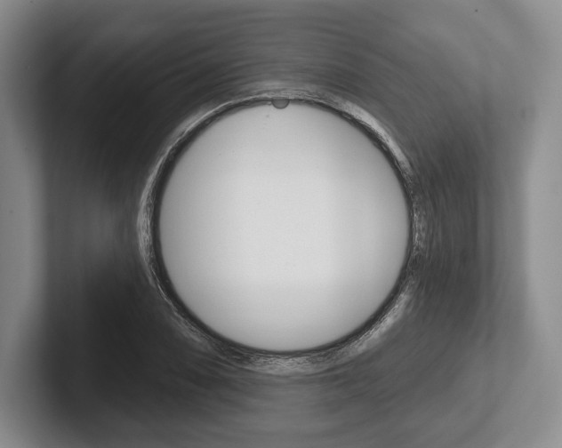 X0000102541074200808081045