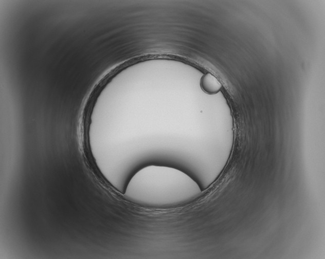 X0000102541076200808081045