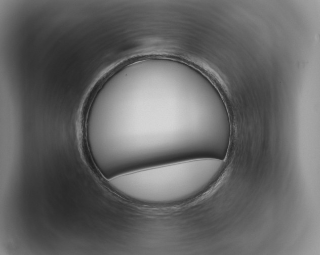 X0000102541077200808081045