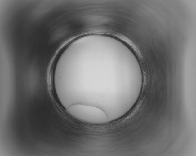 X0000102541078200808081045