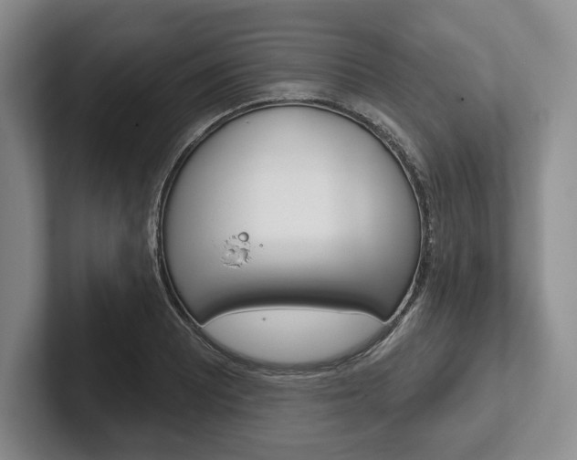 X0000102541081200808081045