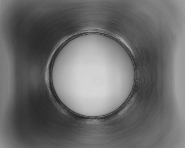 X0000102541082200808081045