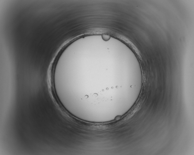 X0000102541083200808081045