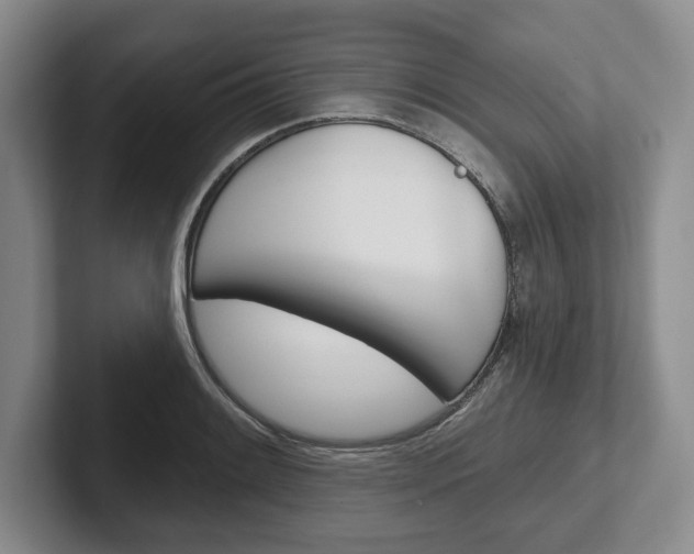 X0000102541084200808081045
