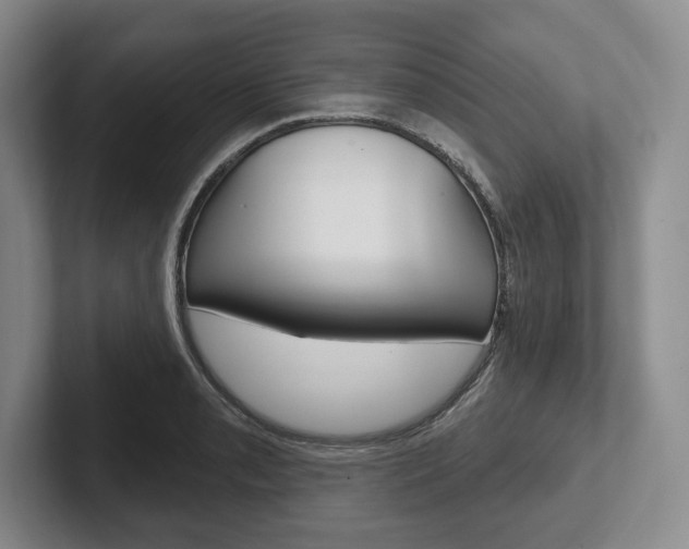 X0000102541085200808081045
