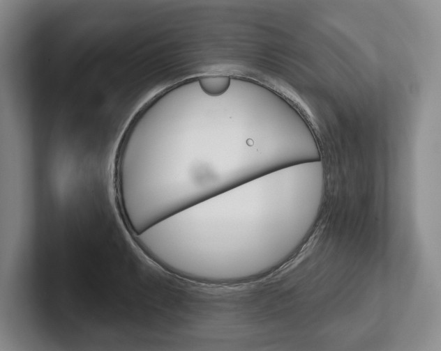 X0000102541087200808081045