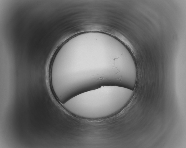 X0000102541088200808081045