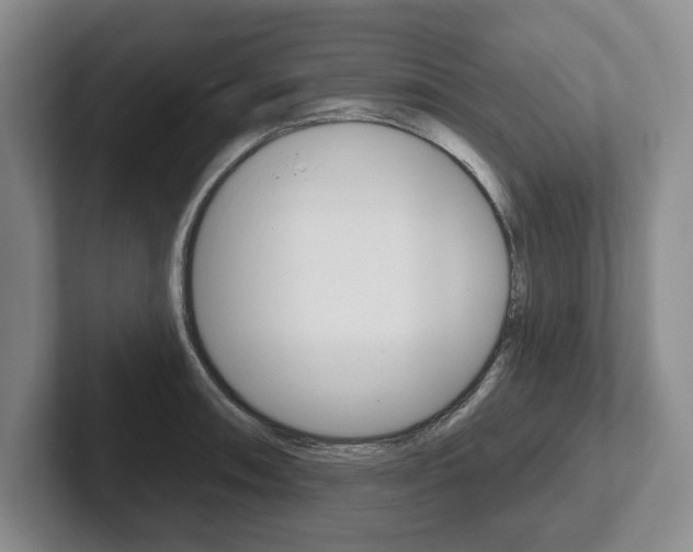 X0000102541090200808081045