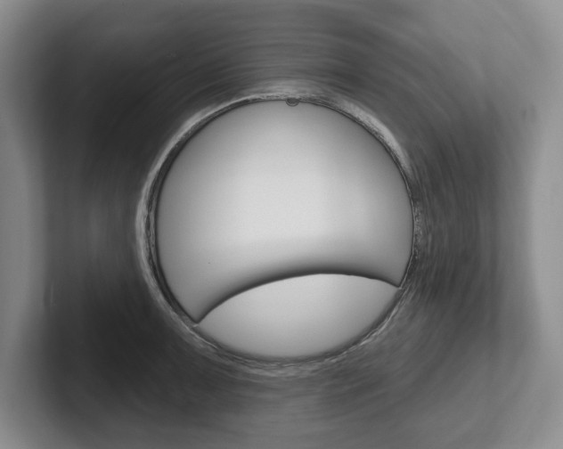 X0000102541091200808081045