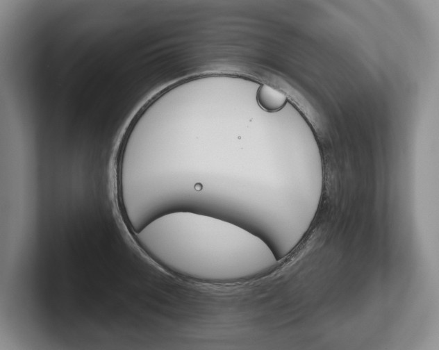 X0000102541092200808081045
