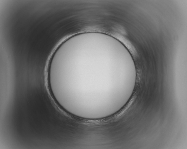 X0000102541094200808081045