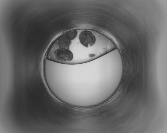 X0000102541095200808081045