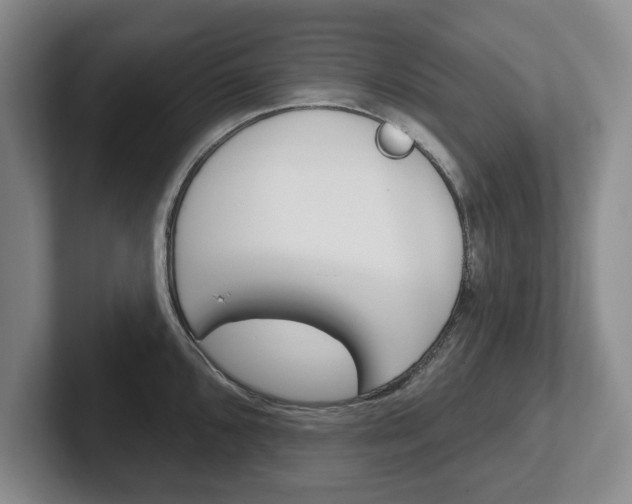 X0000102541096200808081045