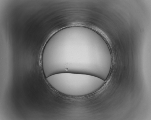 X0000102541097200808081045