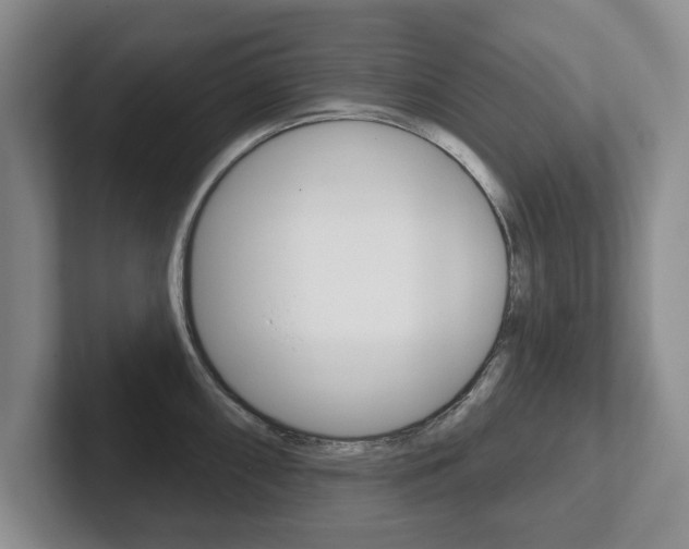X0000102541098200808081045