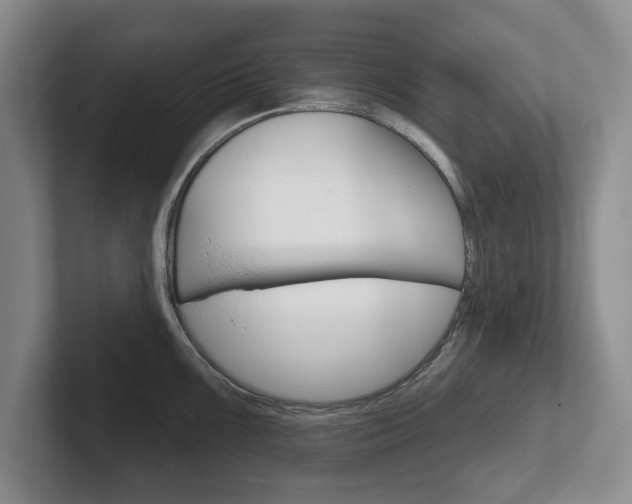 X0000102541099200808081045