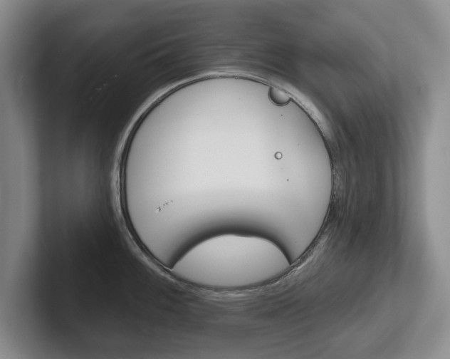 X0000102541100200808081045