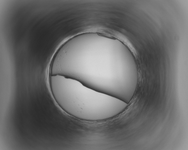 X0000102541103200808081045