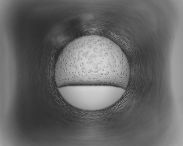 X0000102541105200808081044