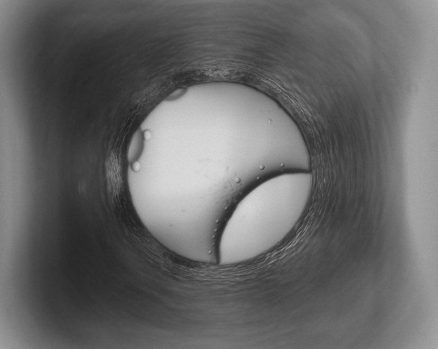 X0000102541106200808081044