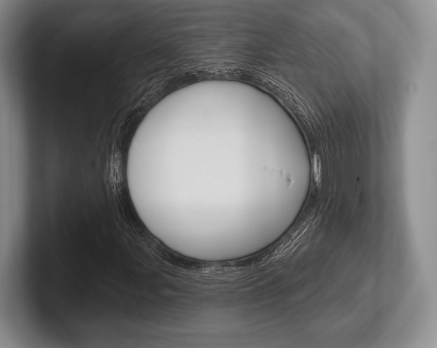 X0000102541107200808081044