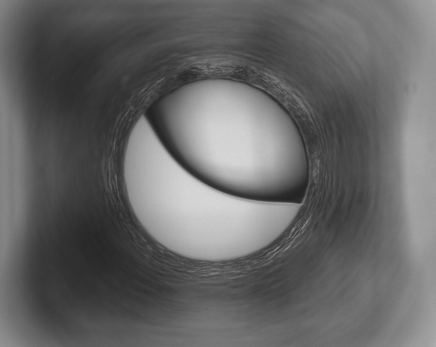 X0000102541108200808081044