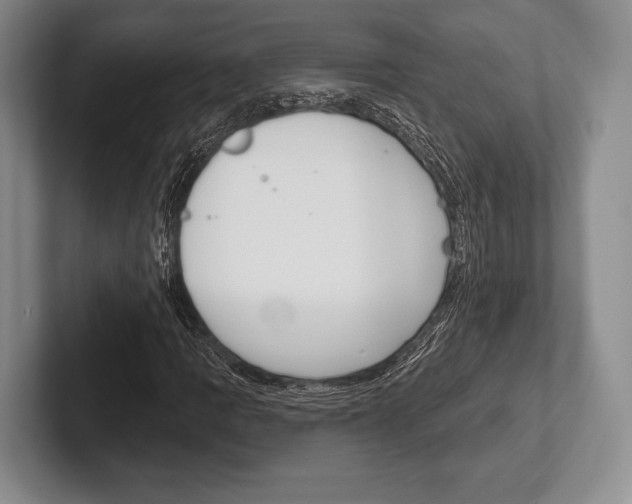X0000102541109200808081044