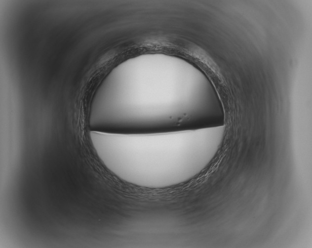 X0000102541111200808081044