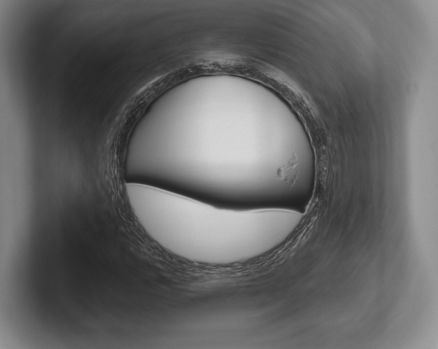 X0000102541112200808081044