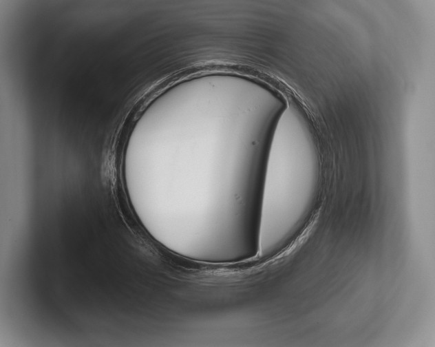 X0000102541113200808081044