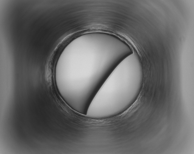 X0000102541115200808081044