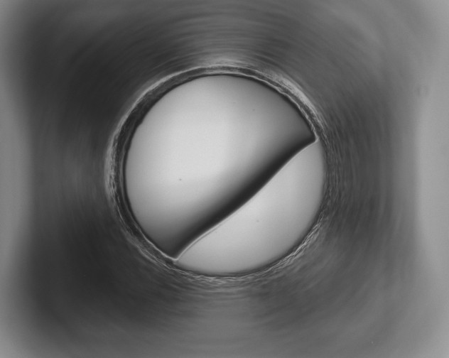 X0000102541116200808081044