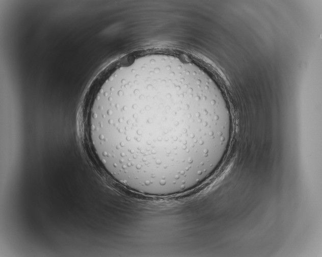 X0000102541117200808081044
