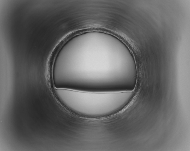 X0000102541118200808081044