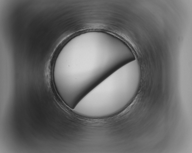 X0000102541119200808081044