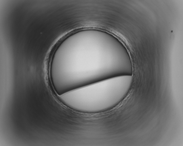 X0000102541120200808081044