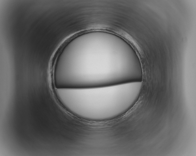 X0000102541124200808081044