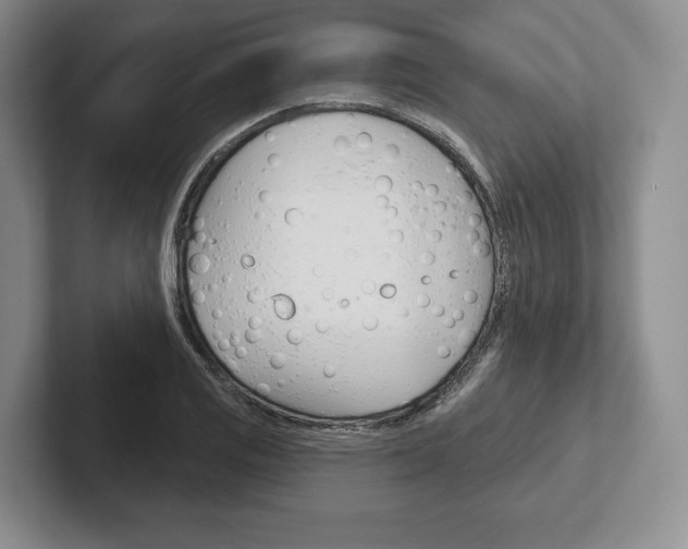 X0000102541125200808081044