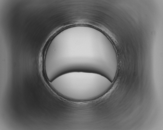 X0000102541126200808081044