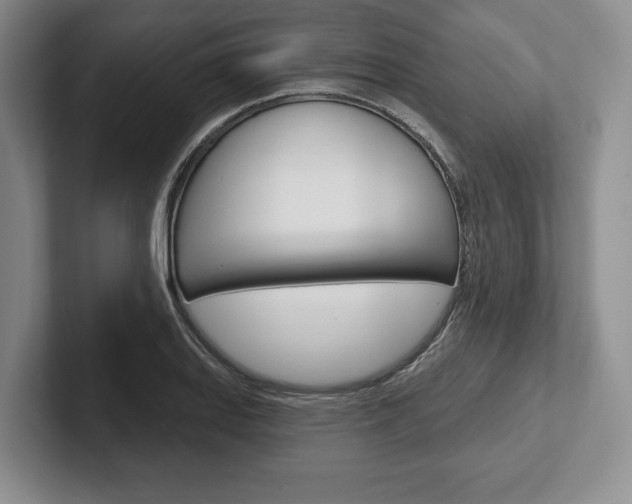 X0000102541127200808081044
