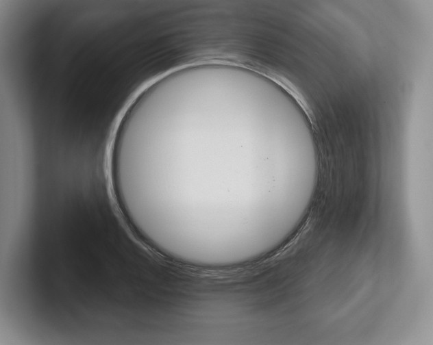 X0000102541128200808081044