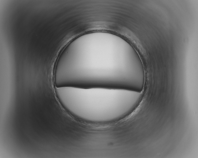 X0000102541129200808081044