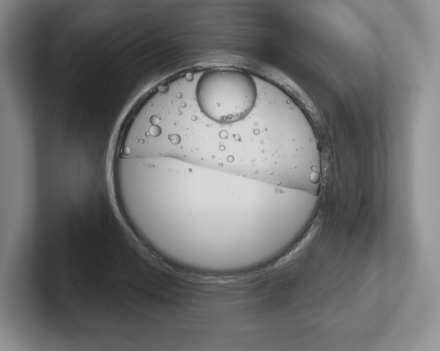 X0000102541130200808081044