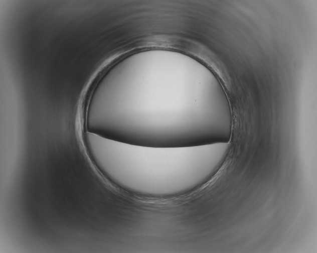 X0000102541131200808081044
