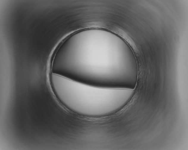 X0000102541132200808081044