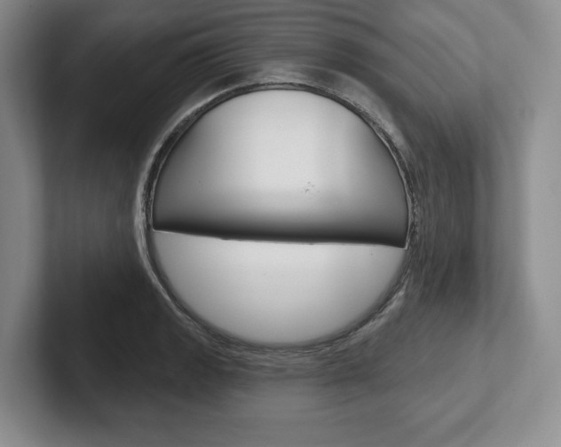 X0000102541133200808081044