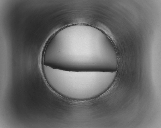 X0000102541135200808081044